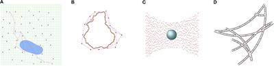 Sparse Robot Swarms: Moving Swarms to Real-World Applications